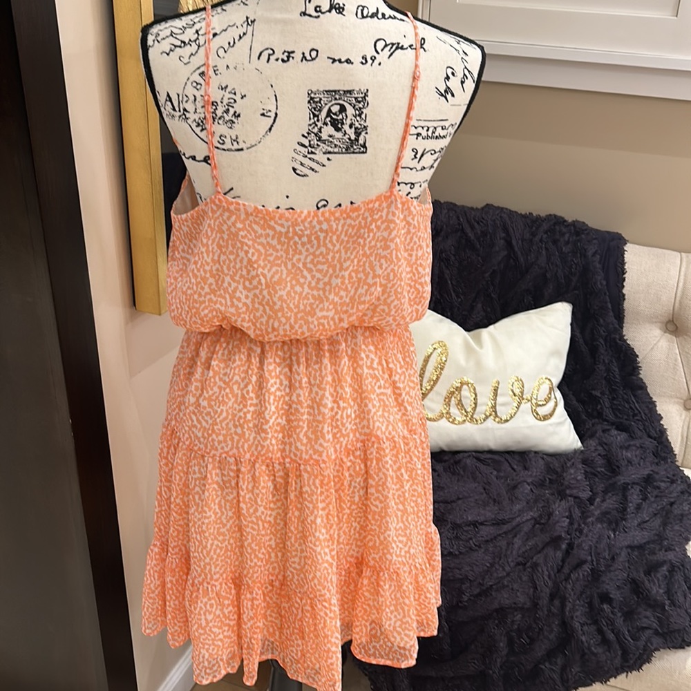 Super Cute Express - image 3